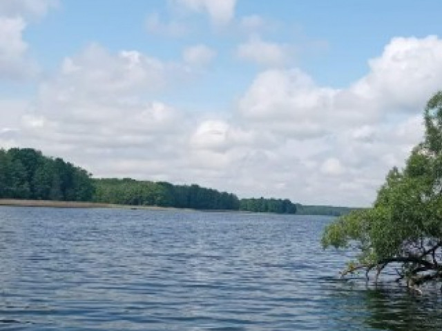 Działka Sprzedaż Krzywe