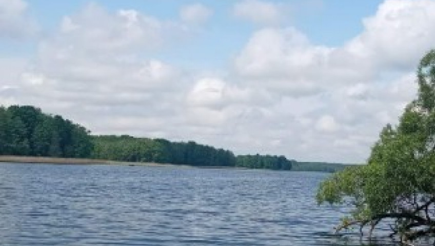 Działka Sprzedaż Krzywe